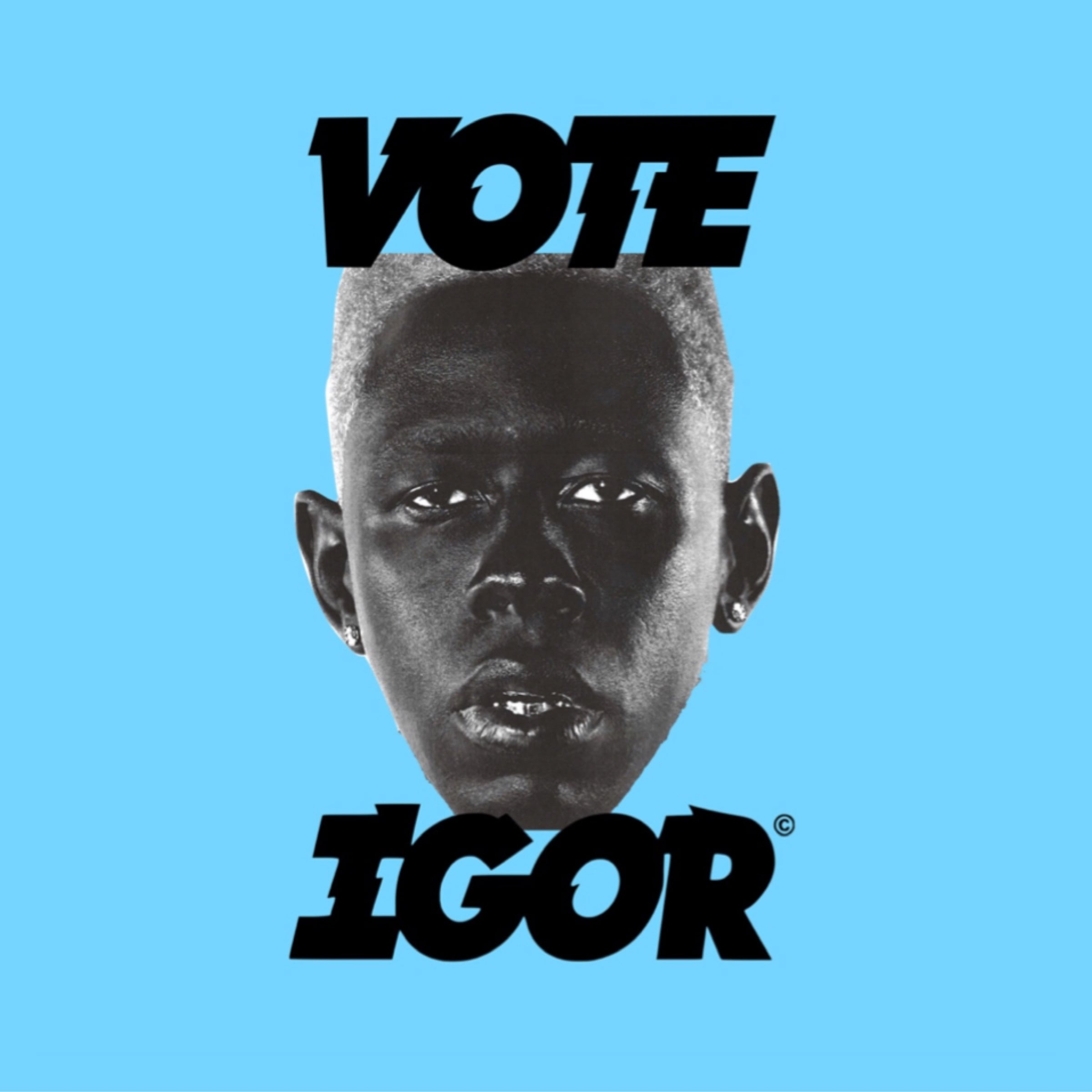 Fabric Poster | Tyler The Creator | Igor Blue | | Grace Records
