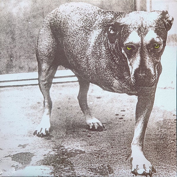 Shirts for 3 legged dog 2025